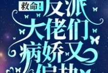 救命！反派大佬们病娇又偏执盛暖小说在线章节免费阅读-豌豆文学