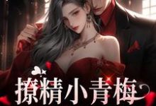撩精小青梅：竹马队长超宠小说全文阅读需要付费吗？寻找免费资源-豌豆文学