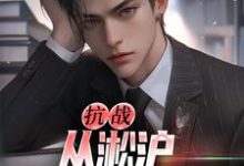 叶青山小说叫什么（抗战：从淞沪保卫战开始免费阅读）-豌豆文学