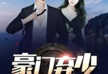 豪门弃少小说全文哪里可以免费看？-豌豆文学