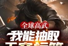 秦昊离诺为主角的小说叫什么？免费看全球高武：我能抽取无穷标签-豌豆文学
