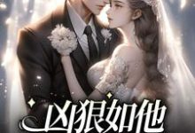 凶狠如他，却对我柔情小说无弹窗阅读的网站推荐-豌豆文学
