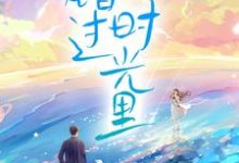 完结版《错过时光里》章节目录在线阅读-豌豆文学