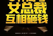 楚飞苏璃为主角的小说重返都市：开局与女总裁互相砸钱在线阅读-豌豆文学