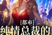 都市：纯情总裁的自我攻略小说，都市：纯情总裁的自我攻略谢忱姜嫄-豌豆文学