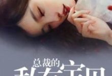 总裁的私有宝贝这本小说怎么样？免费在线阅读试试-豌豆文学