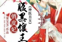 小说《神医丑女：腹黑傻王俏皮妃》在线章节阅读-豌豆文学