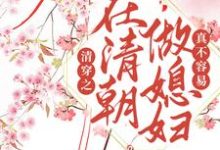 完结版《清穿之在清朝做媳妇真不容易》在线免费阅读-豌豆文学