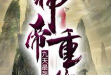 叶尘林家叶清逸为主角的小说神帝重生：九天最强赘婿在线阅读-豌豆文学