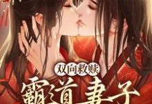 哪里能找到双向救赎:霸道妻子柔弱相公小说的全部章节?-豌豆文学
