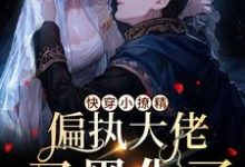 梨久为主角的小说快穿小撩精：偏执大佬又黑化了在线阅读-豌豆文学