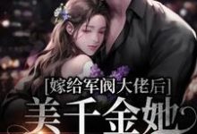 《嫁给军阀大佬后，美千金她要离婚》小说大结局免费试读 盛长裕宁祯小说-豌豆文学