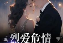 在线寻找战妄沈漾的小说，烈爱危情：错付一世情深免费阅读-豌豆文学