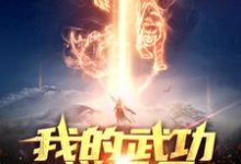 小说《我的武功逆天了，它能自动进化！》章节阅读-豌豆文学