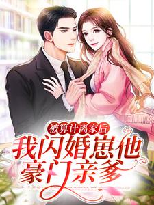 被算计离家后，我闪婚崽他豪门亲爹小说完结版章节免费阅读