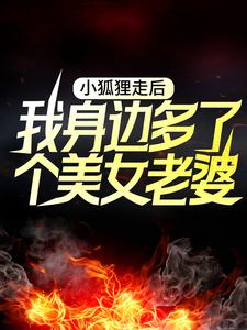 小狐狸走后，我身边多了个美女老婆小说有没有完结版在线？