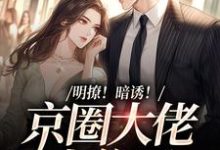免费在线阅读明撩！暗诱！京圈大佬上位了小说的正规网站有哪些？-豌豆文学