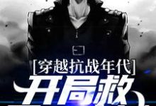 穿越抗战年代，开局救下一座城徐清风小说大结局免费试读-豌豆文学