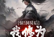 《惊！洞房后，我修为突飞猛进》小说章节列表免费试读，林宇云允儿小说在线阅读-豌豆文学