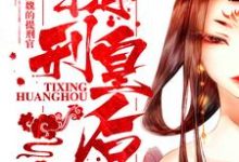 提刑皇后小说完结了吗？在哪里可以免费读到？-豌豆文学