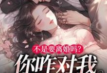 哪里能找到不是要离婚吗？你咋对我死缠烂打小说的最新更新和免费章节？-豌豆文学