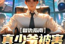 复仇指南：真少爷被害后重生了墨离，复仇指南：真少爷被害后重生了章节在线阅读-豌豆文学
