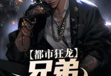 宋渔向影的小说在哪里看？免费在线阅读都市狂龙：兄弟，哥罩着你！-豌豆文学