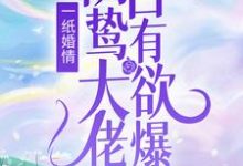 一纸婚情：阴鸷大佬占有欲爆表小说的无弹窗阅读体验，寻找免费阅读网站-豌豆文学