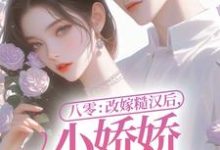 可盈沈耀的完整故事在哪里？读八零：改嫁糙汉后，小娇娇幸福一生小说-豌豆文学