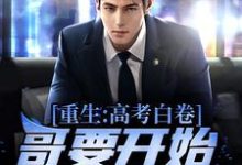 王易黄唯的小说在哪里看？免费在线阅读重生：高考白卷，哥要开始摆烂啦！-豌豆文学