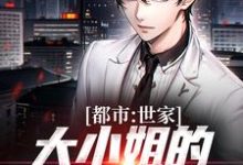已完结小说《都市：世家大小姐的漫漫追夫路》章节在线阅读-豌豆文学