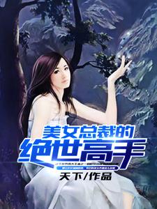 在线寻找叶轩苏晴的小说，美女总裁的绝世高手免费阅读