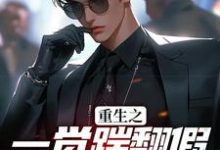 完结版《重生之一觉踹翻假少爷的挑衅》章节目录在线阅读-豌豆文学