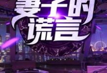 在线寻找妻子的谎言小说的无删减版本-豌豆文学