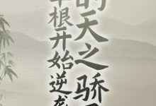 从草根开始逆袭的天之骄子小说有没有完整的免费版本在线阅读？-豌豆文学
