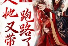 甜宠：夫人她又带崽跑路了小说的免费阅读版本在哪里可以找到？-豌豆文学