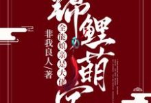 锦鲤萌宝：全能娘亲是大佬小说的无弹窗阅读体验，寻找免费阅读网站-豌豆文学