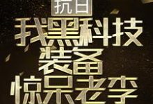 抗日：我黑科技装备惊呆老李小说无弹窗阅读的网站推荐-豌豆文学