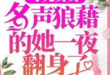 沈南音容祈的完整故事在哪里?读母凭女贵,名声狼藉的她一夜翻身了小说-豌豆文学