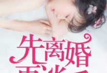 小说《先离婚，再谈爱》在线章节阅读-豌豆文学