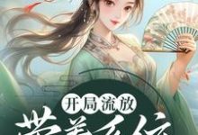 开局流放：带着系统和嫂子去种田免费阅读，开局流放：带着系统和嫂子去种田燕云赵婉莹-豌豆文学
