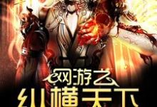 已完结小说《网游之纵横天下》章节免费阅读-豌豆文学