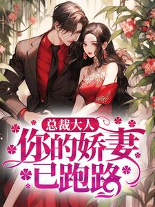 叶展眉言止安若瑜南瑾是哪本书的主角？寻找总裁大人，你的娇妻已跑路免费阅读