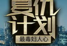 复仇计划：最毒妇人心小说无弹窗阅读的网站推荐-豌豆文学