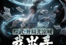 小说《综武：开局北凉城，我出手解救郡主》章节阅读-豌豆文学