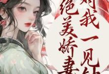 小说《绝美娇妻对我一见钟情》章节免费阅读-豌豆文学