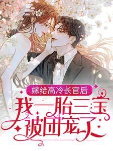沈月亮纪延川小说在线章节免费阅读（嫁给高冷长官后，我一胎三宝被团宠了无弹窗无删减）
