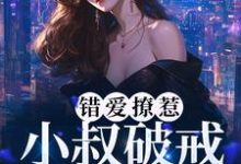 完结版《错爱撩惹：小叔破戒缠宠我》章节阅读-豌豆文学