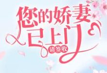 完结版《您的娇妻已上门，请签收》免费阅读-豌豆文学