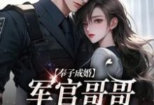 完结版《奉子成婚：军官哥哥别太宠》章节阅读-豌豆文学
